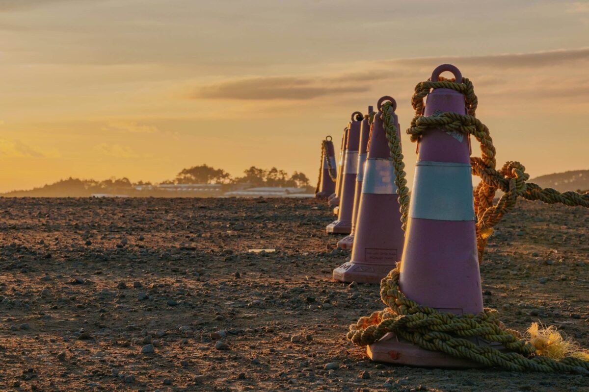 A row of pink traffic cones, secured with rope, lines a sandy beach during sunset, casting long shadows against the warm-colored sky.