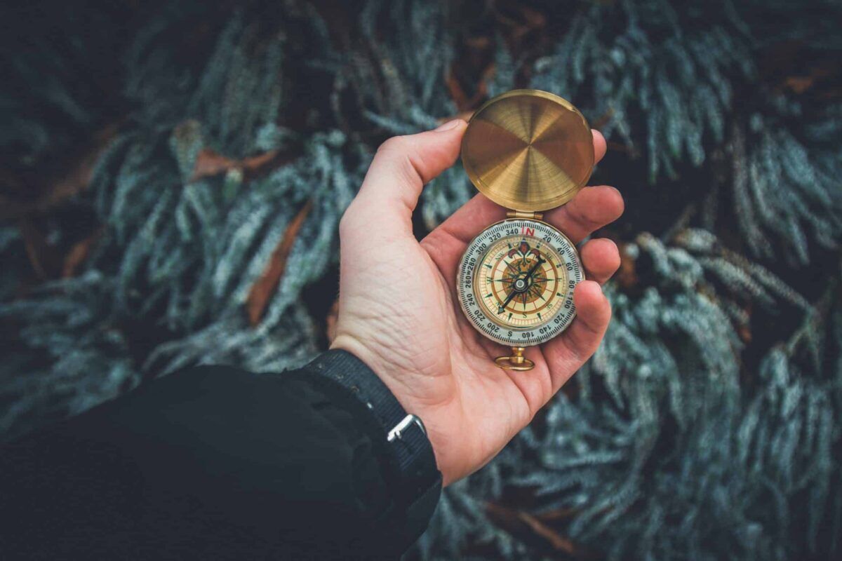A hand holds an open brass compass above a textured, greenish background of foliage, suggesting exploration or navigation in nature.